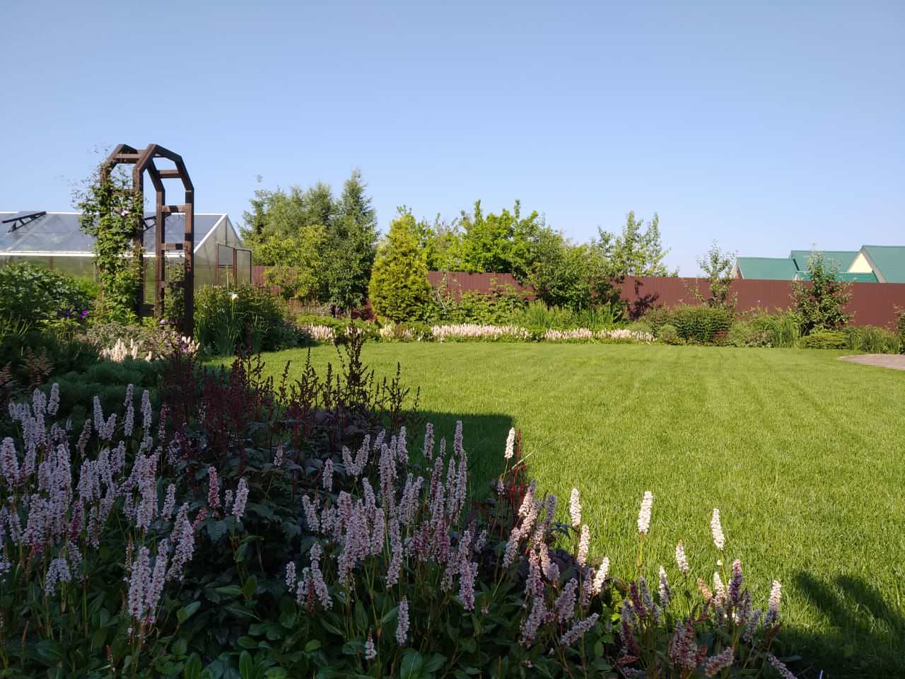 Сад в розовой дымке