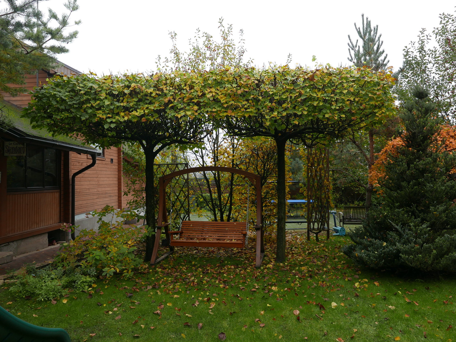 Буйство красочных форм в осеннем саду