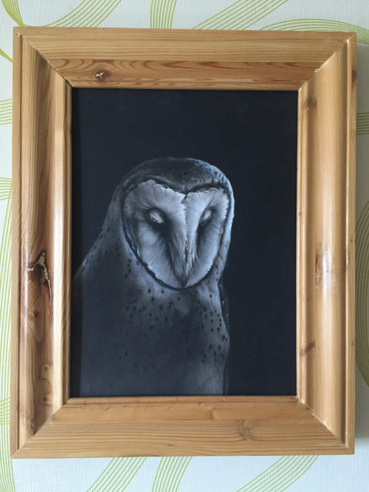 Мои картины