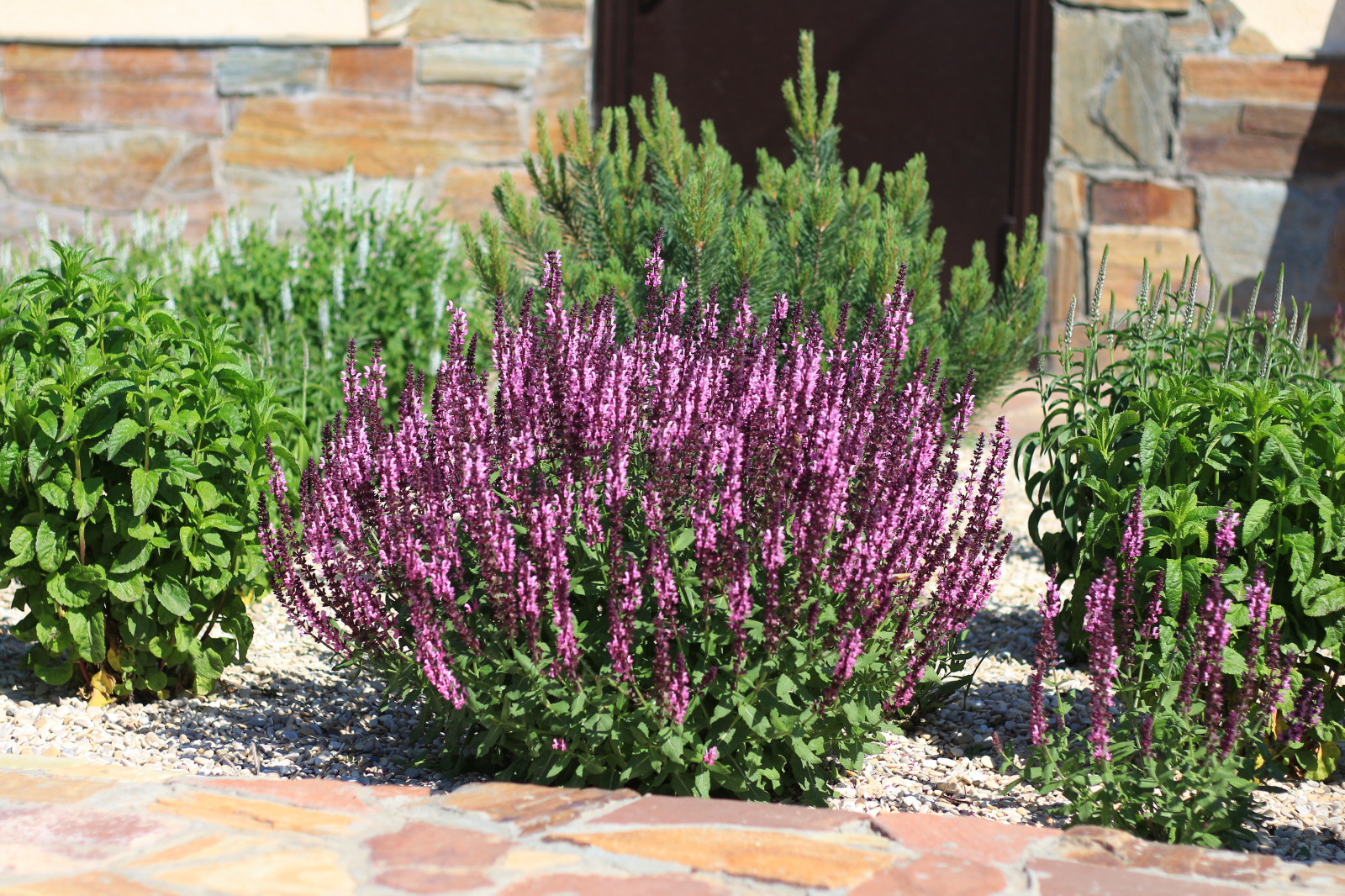 Сад для двоих