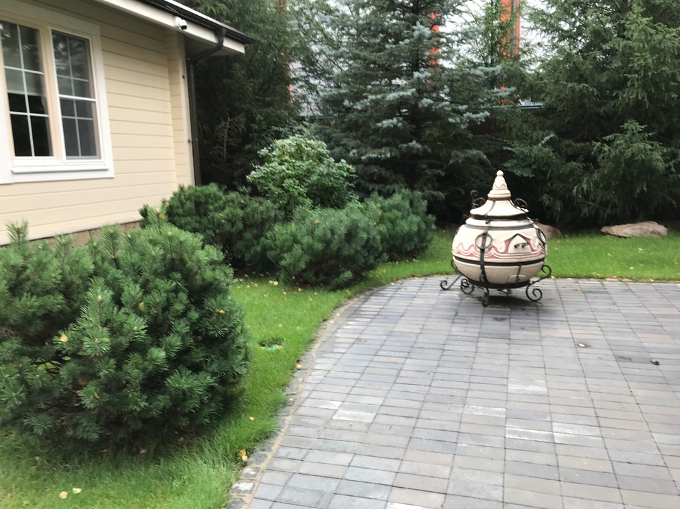 Зелёный лес