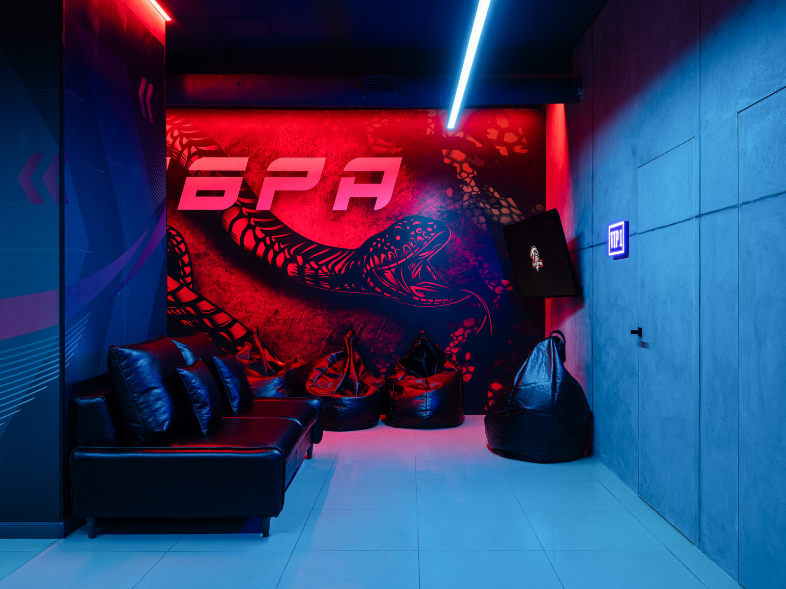 Киберспортивный клуб "Кобра"