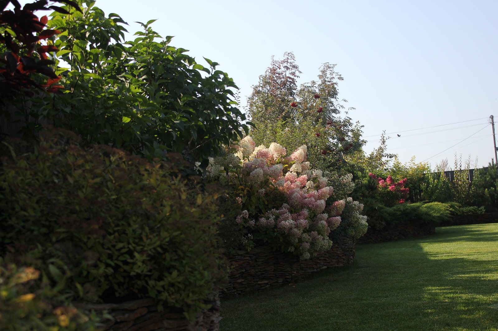 В гостях у Сказки