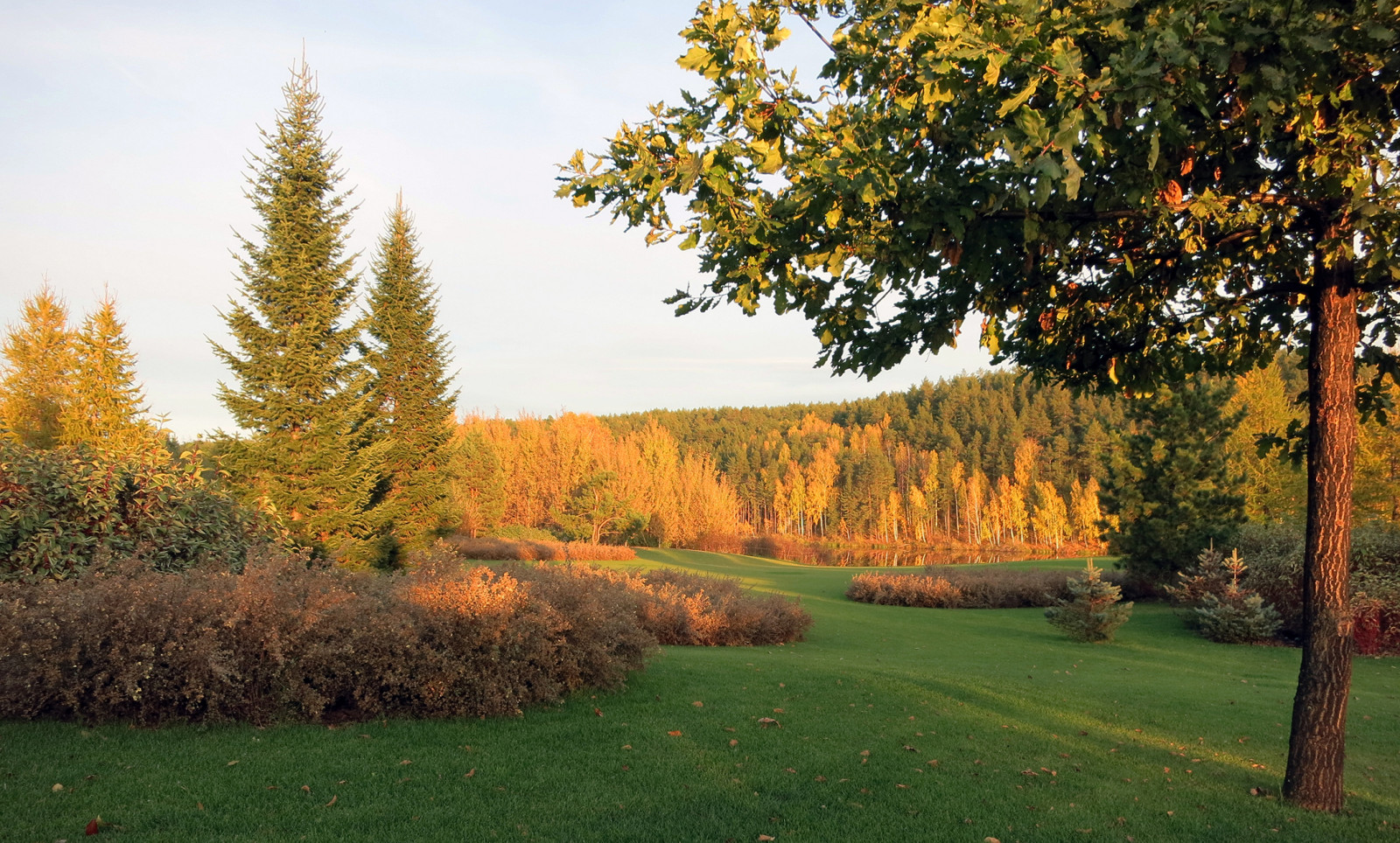 Новый пейзаж