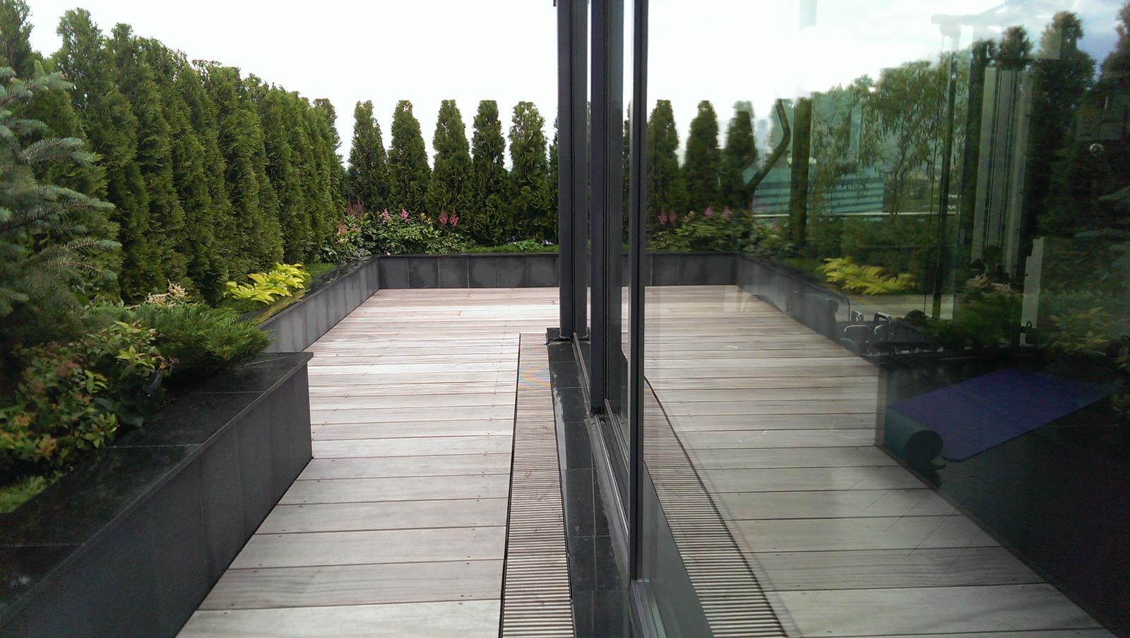 Сад на крыше