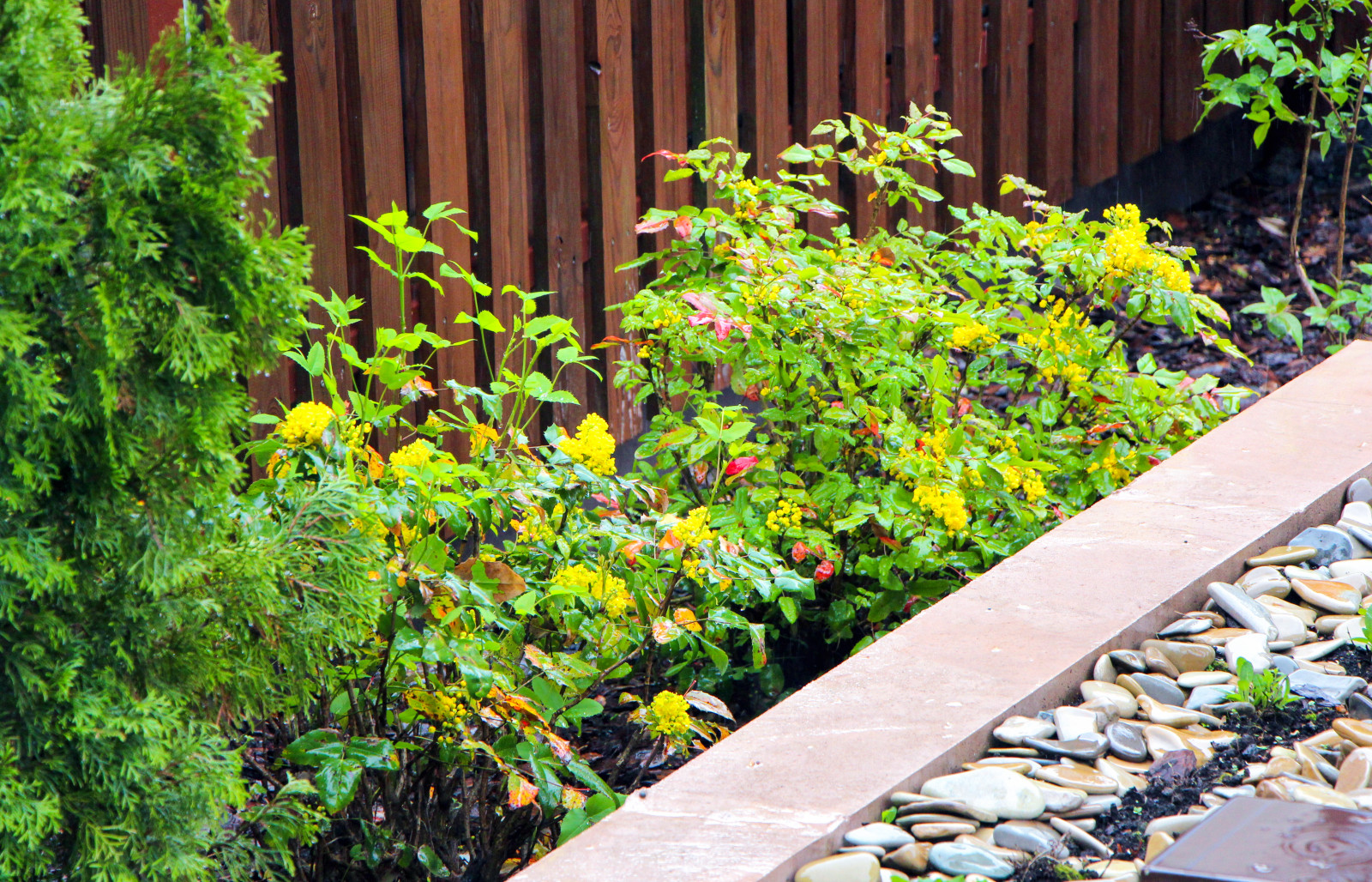 Павлово-2, 2015 г.