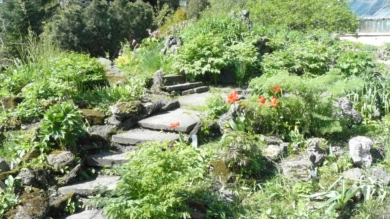 Анжелика Рыжова