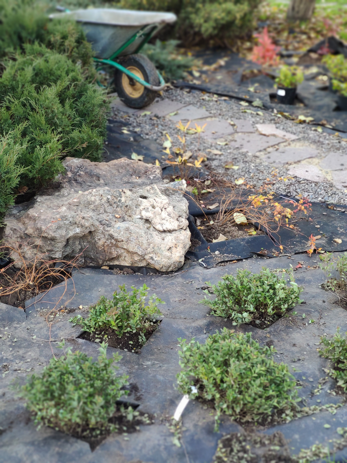 "Параллели"