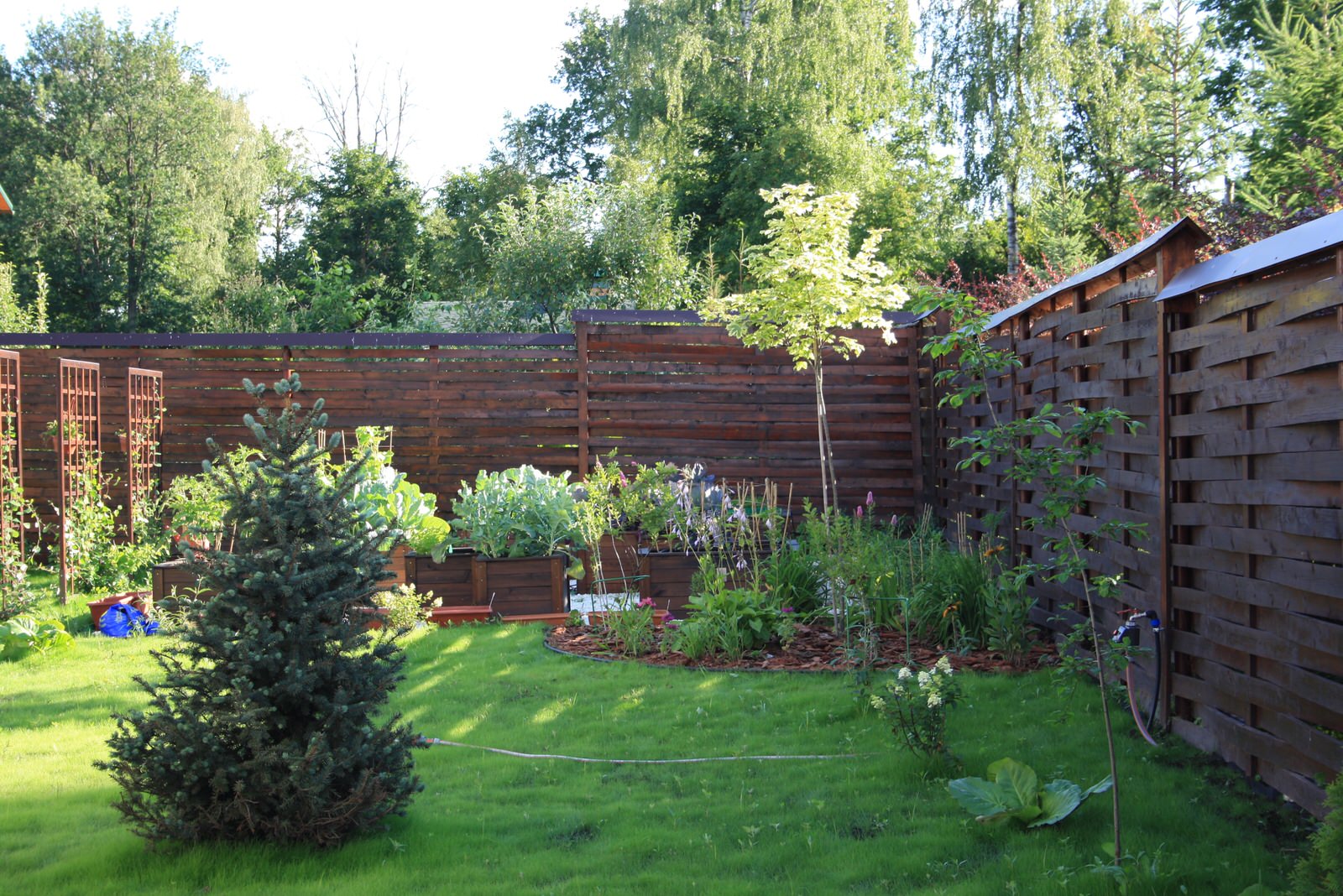 Истринские дачи