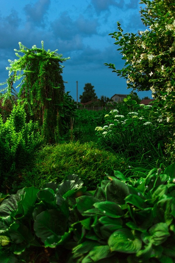 Романтический сад