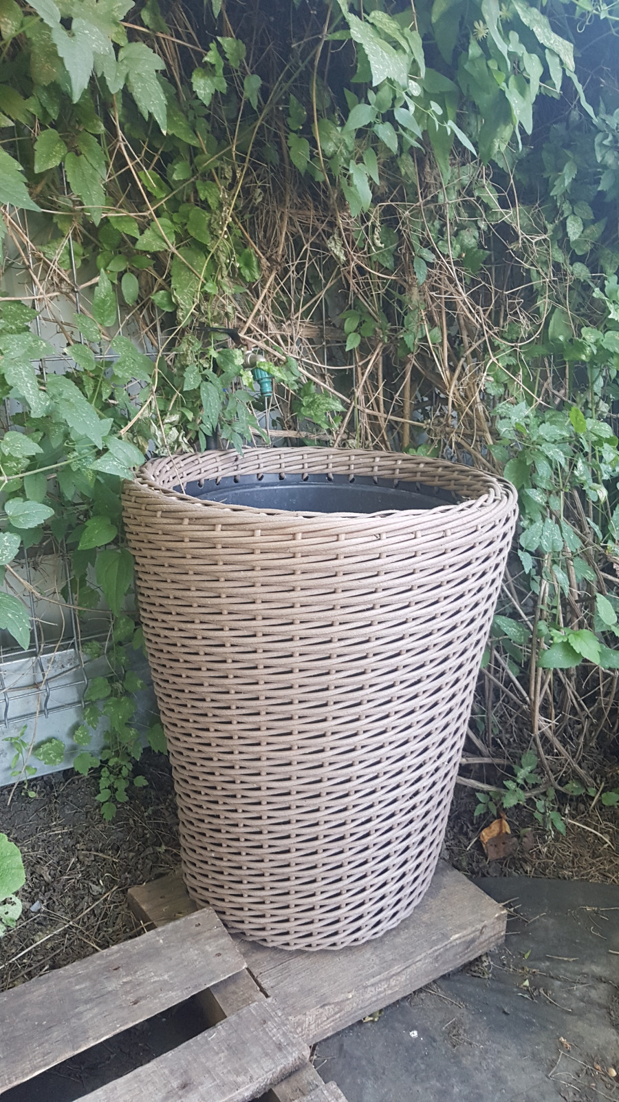 Обложка проекта: Раковина для уличного крана