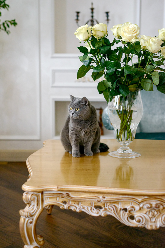 Квартира в классчиеском стиле