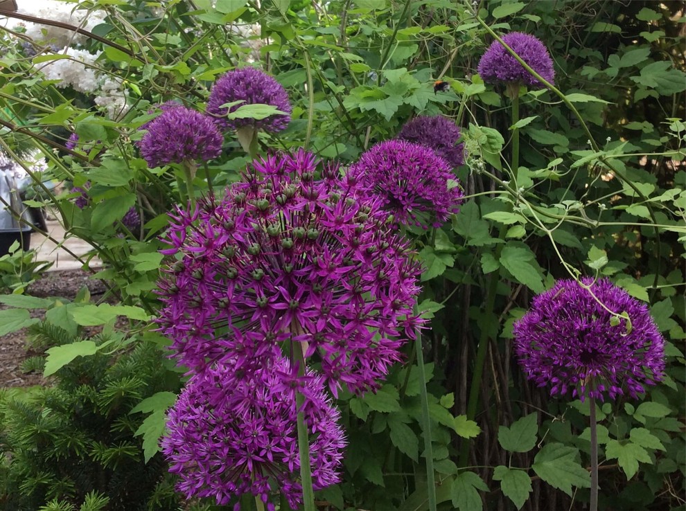 СНЫ О ЧЕМ_ТО БОЛЬШЕМ...