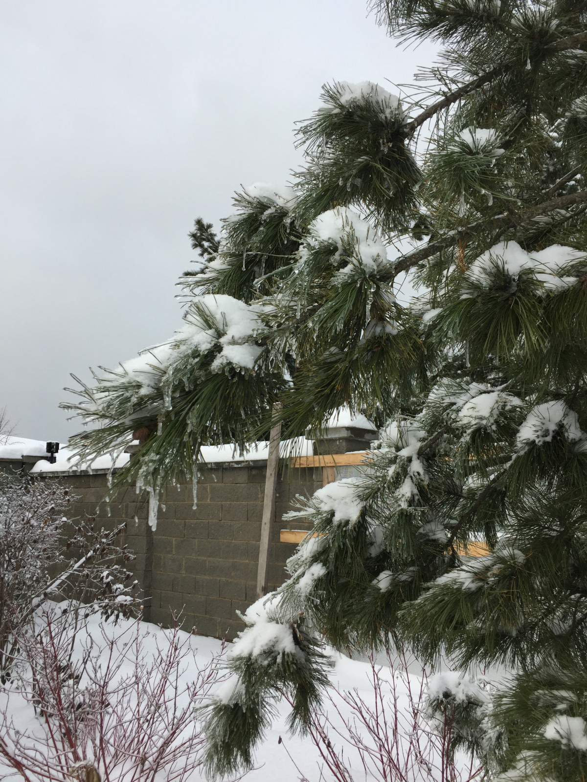 Зимние объекты