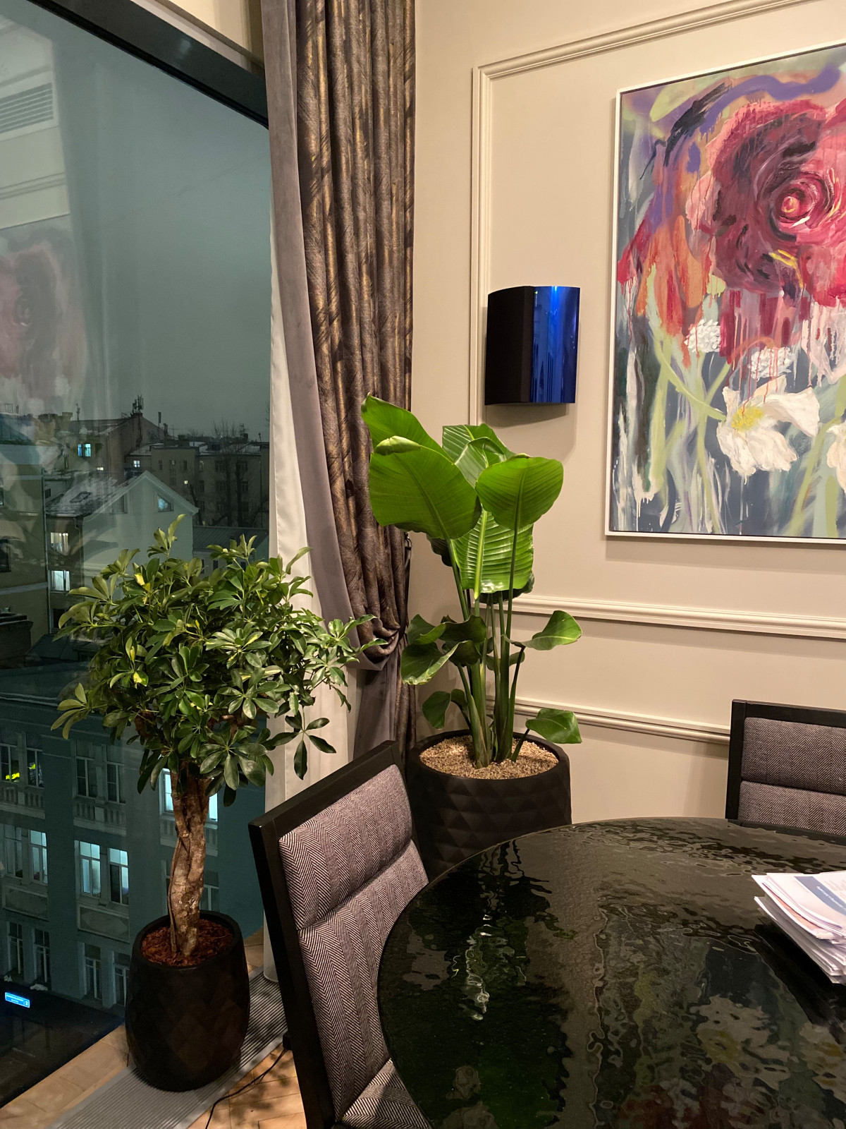 Озеленение гостиной