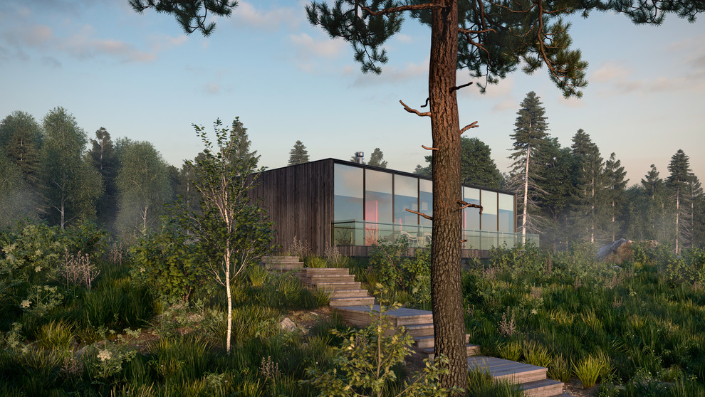 Визуализация дома в Карелии для архитектора Майи Баклан