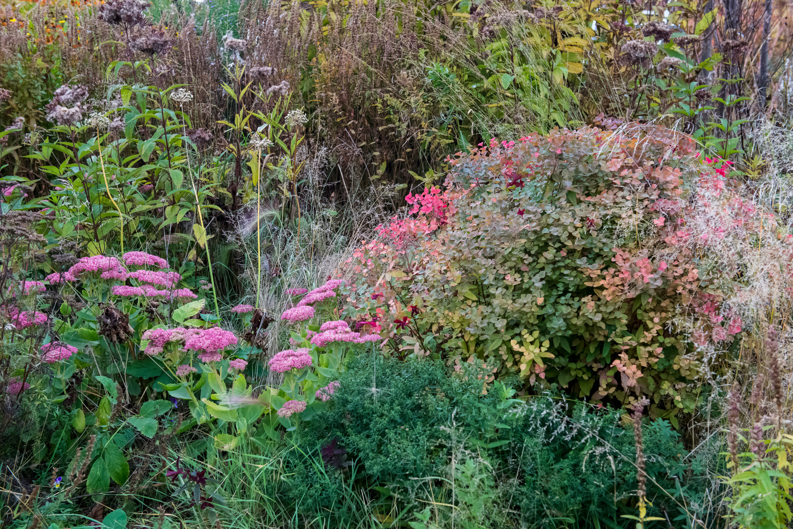 Большой сад в пригороде