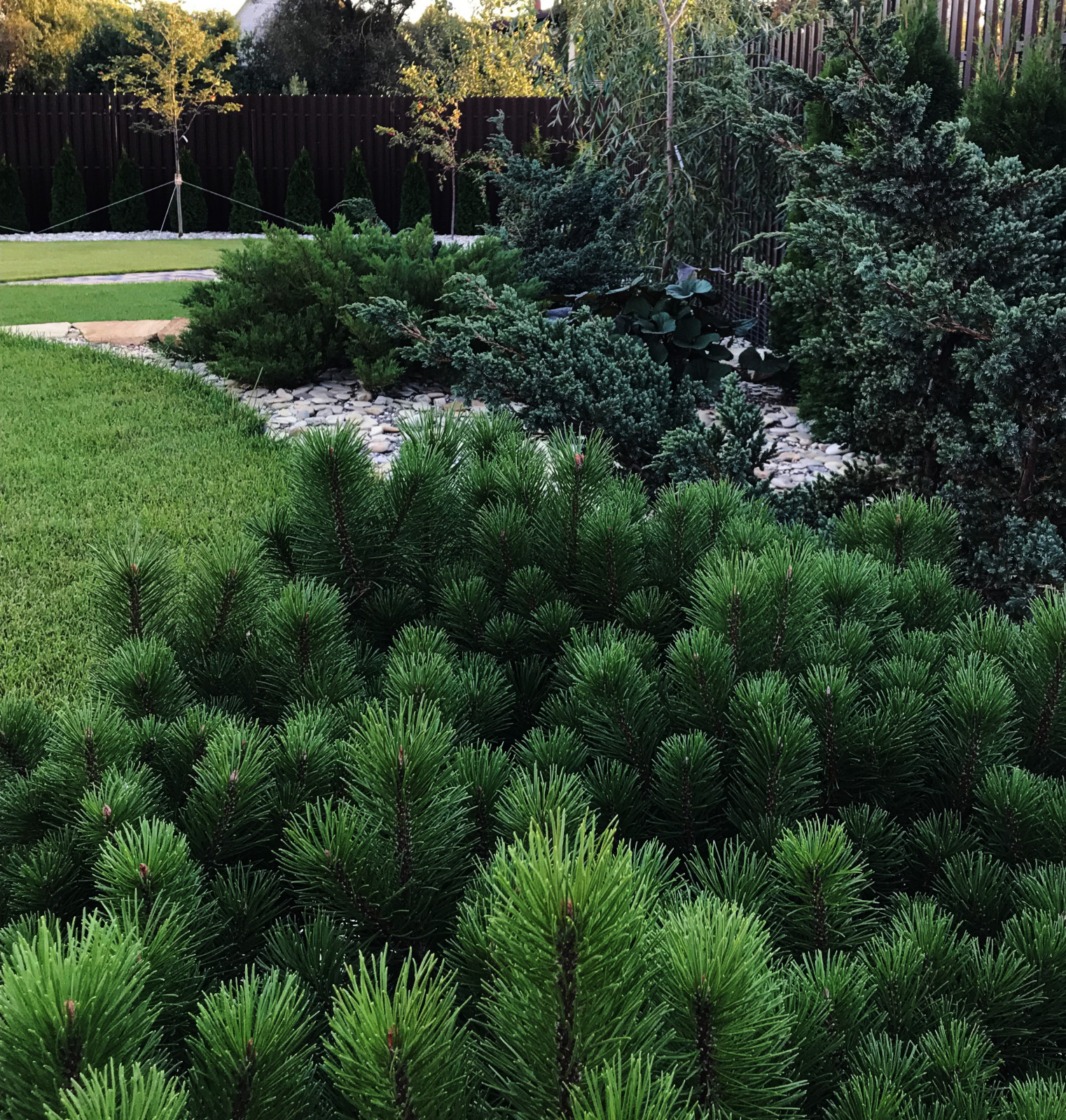 Покровское