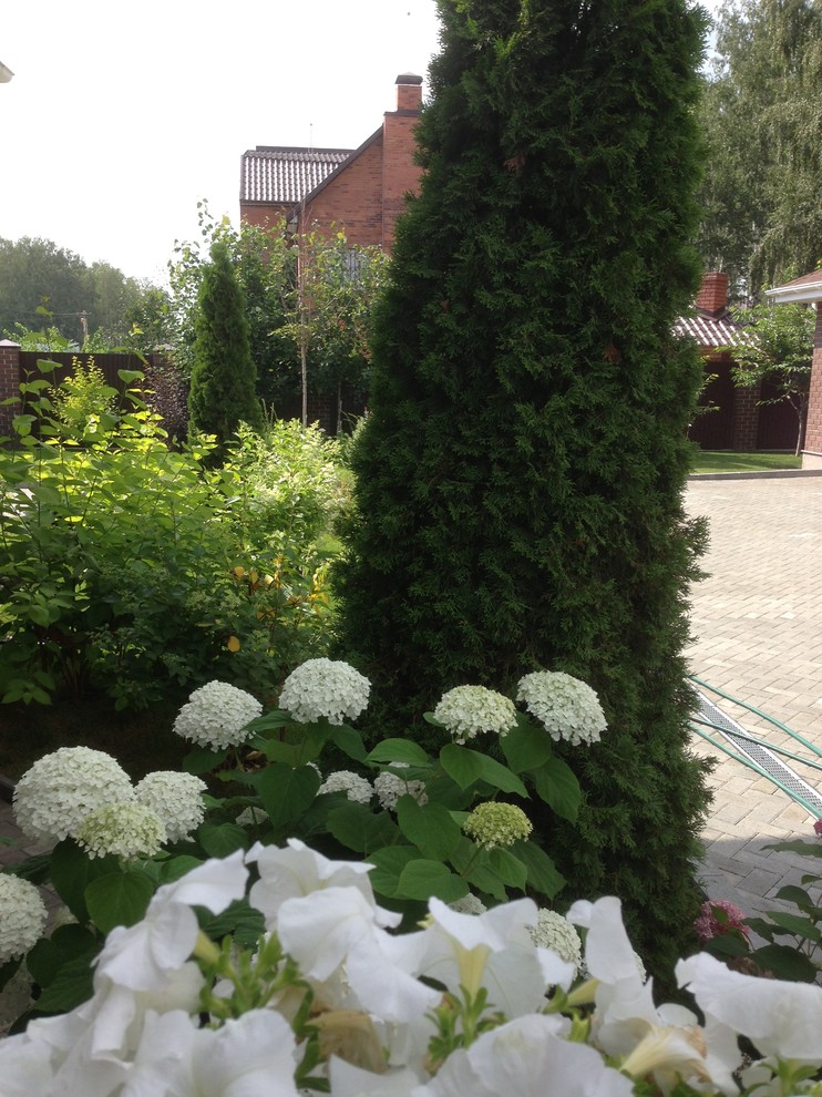 Вавиловец 1