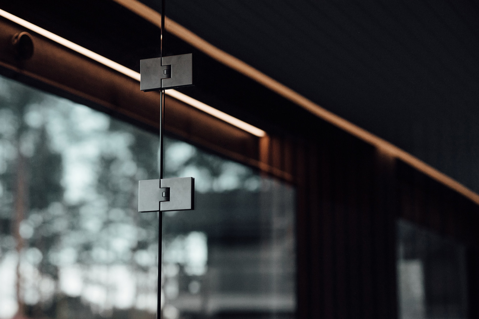 Петли Pauli для стеклянной группы