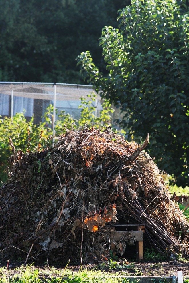 Хороший вопрос: Как избавиться от сорняков на даче навсегда