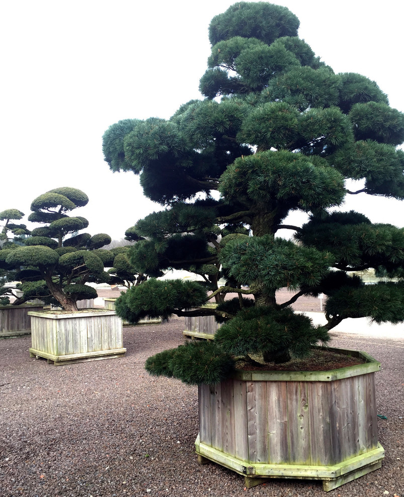 Вопрос: Как выбирать растения для сада