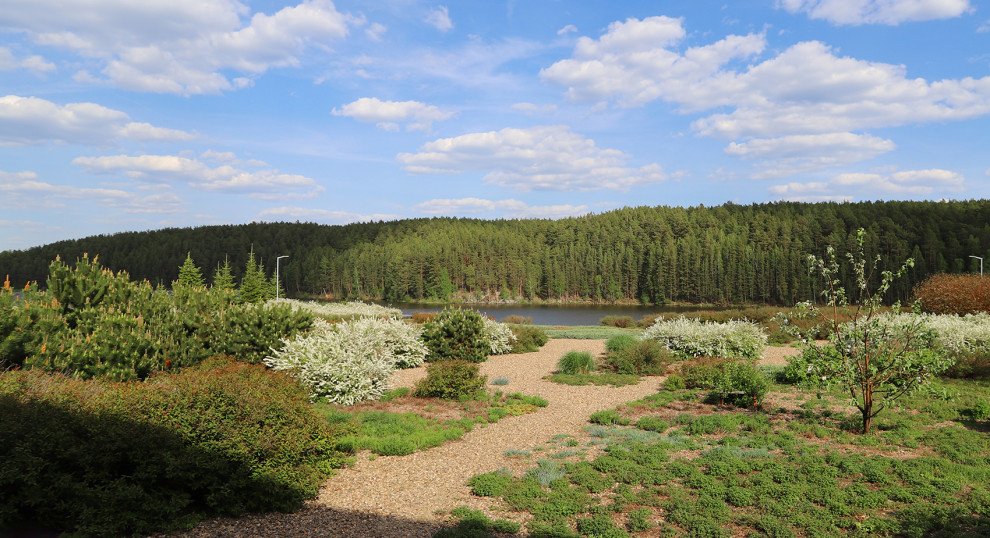 Полынный берег. Новые снимки