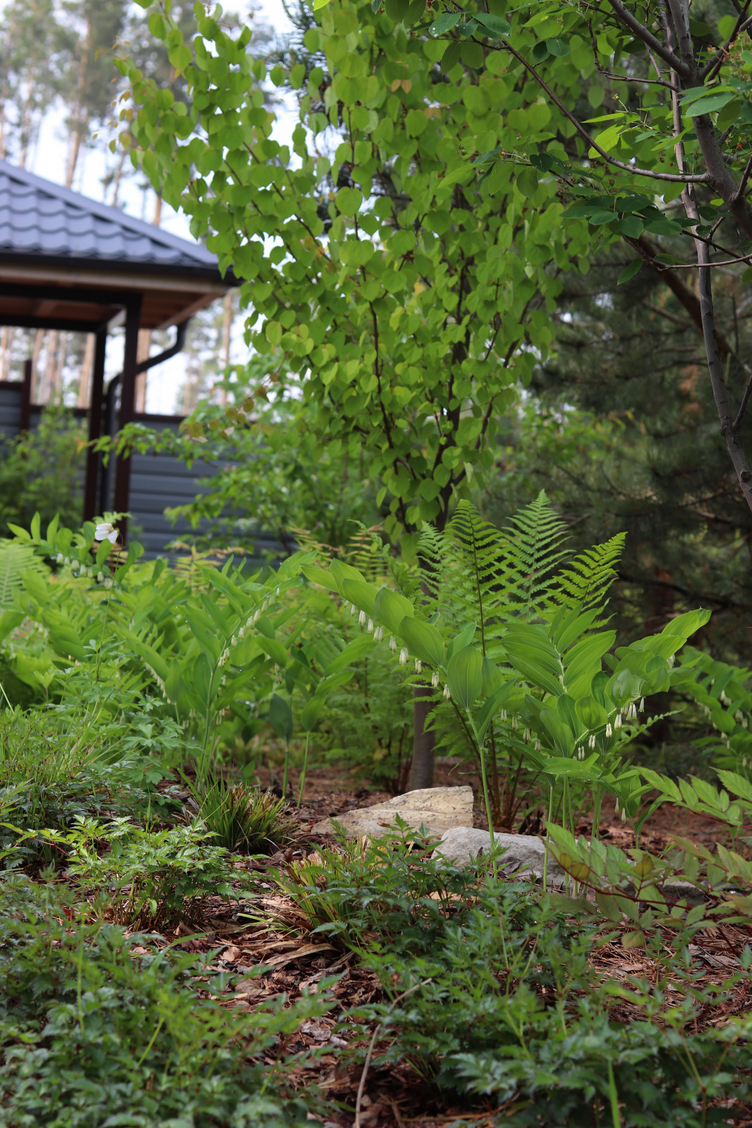 Русский лес