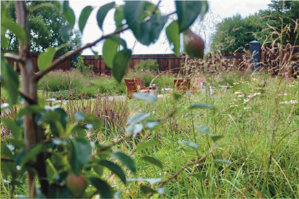 д. Кутузово