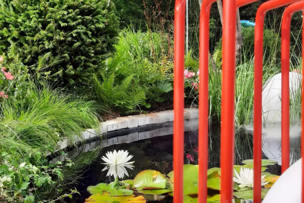 Выставочный сад на фестивале в Царицыне "Видение розы"