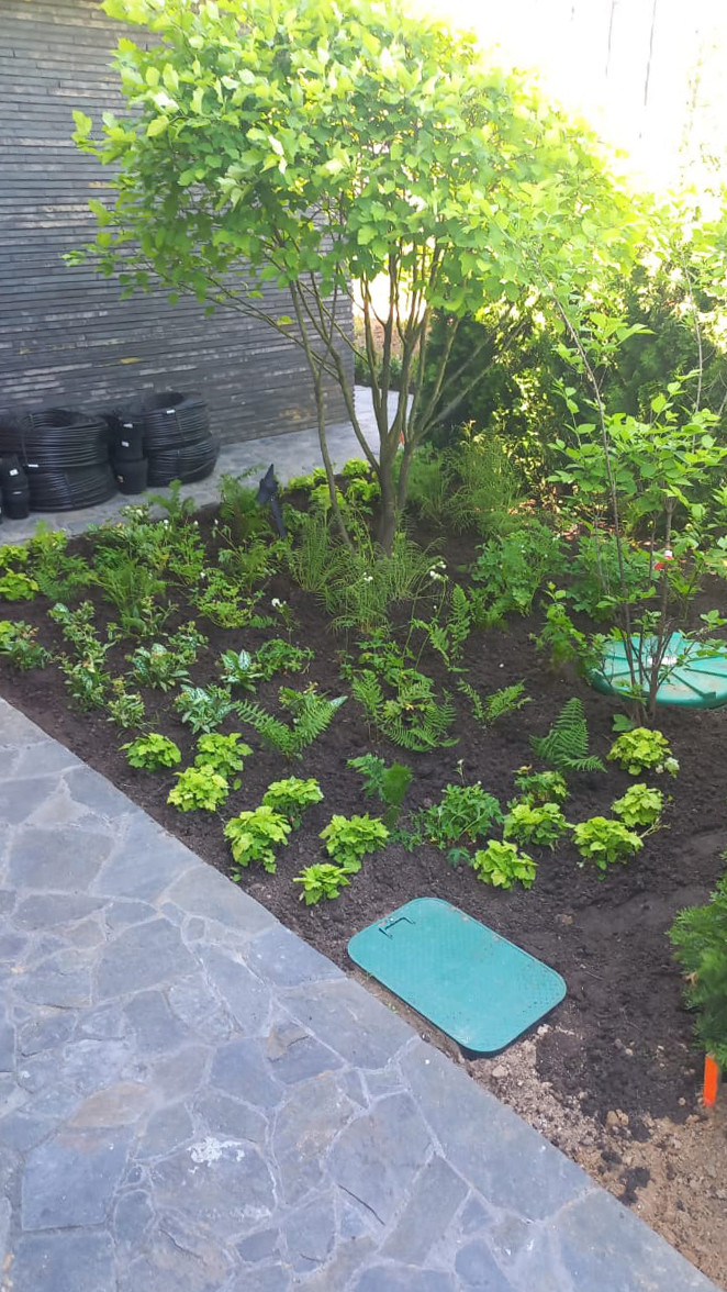 Landscape design of the territory (Moscow region)