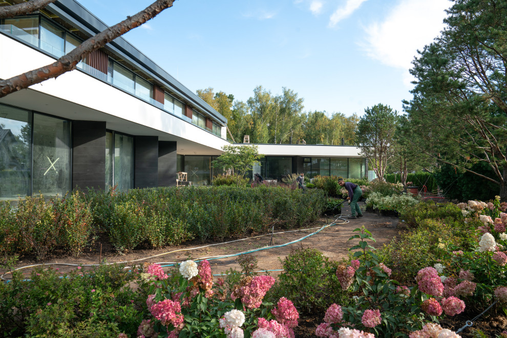 Антоновка. 30 соток. 2023 г.