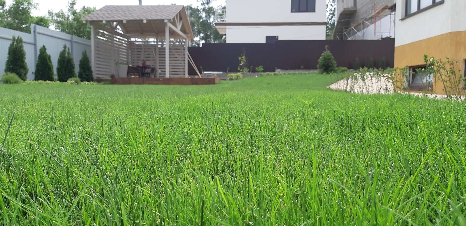 Озеленение "Под Ключ" в с.Борисовка