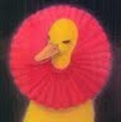 Андрей Чередниченко