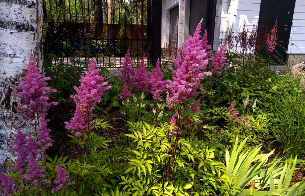 Цветники под пологом леса