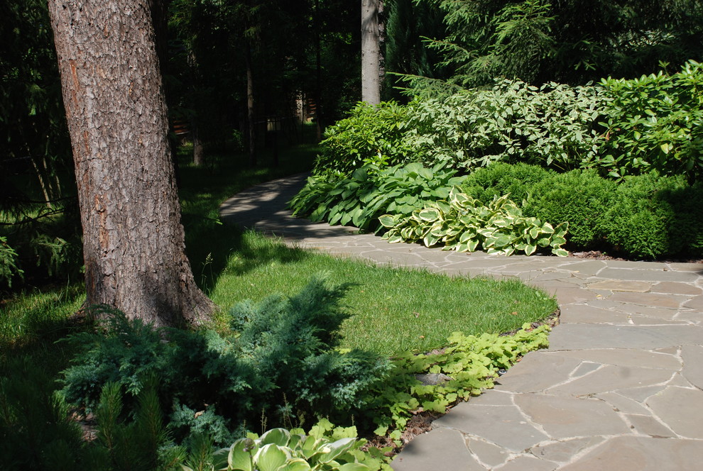 Лесной участок в КП "РИИТА"