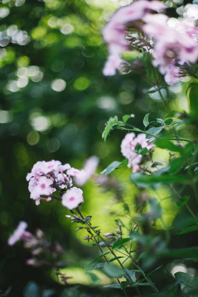 В гостях: «Теория комнат» в саду декоратора Анны Муравиной