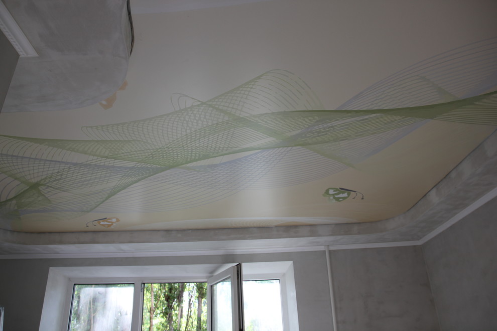 Натяжные потолки с фотопечатью