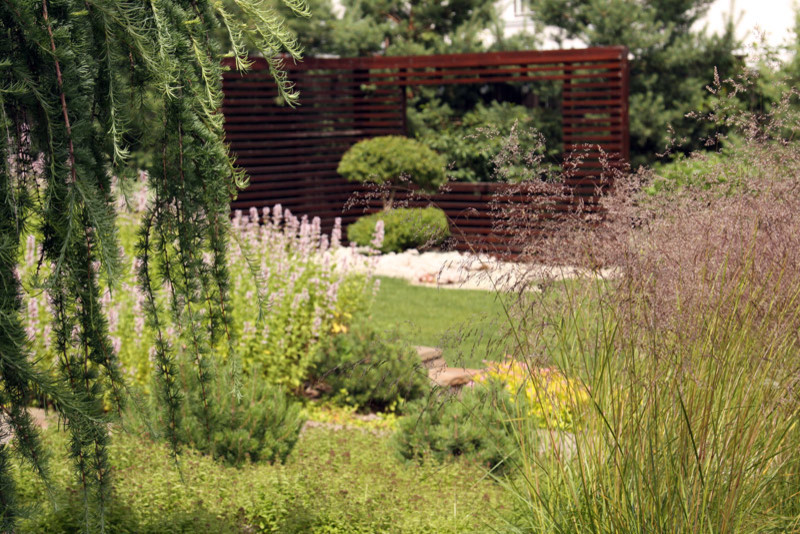 Современный сад