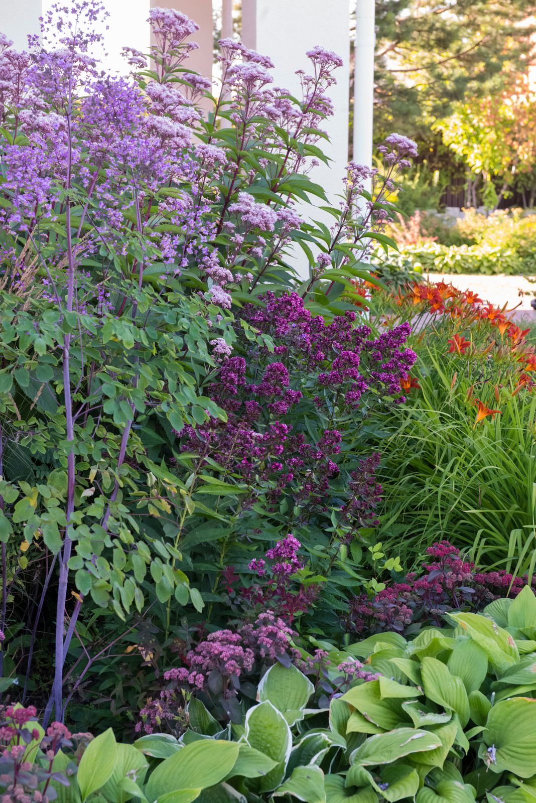 Большой сад в пригороде
