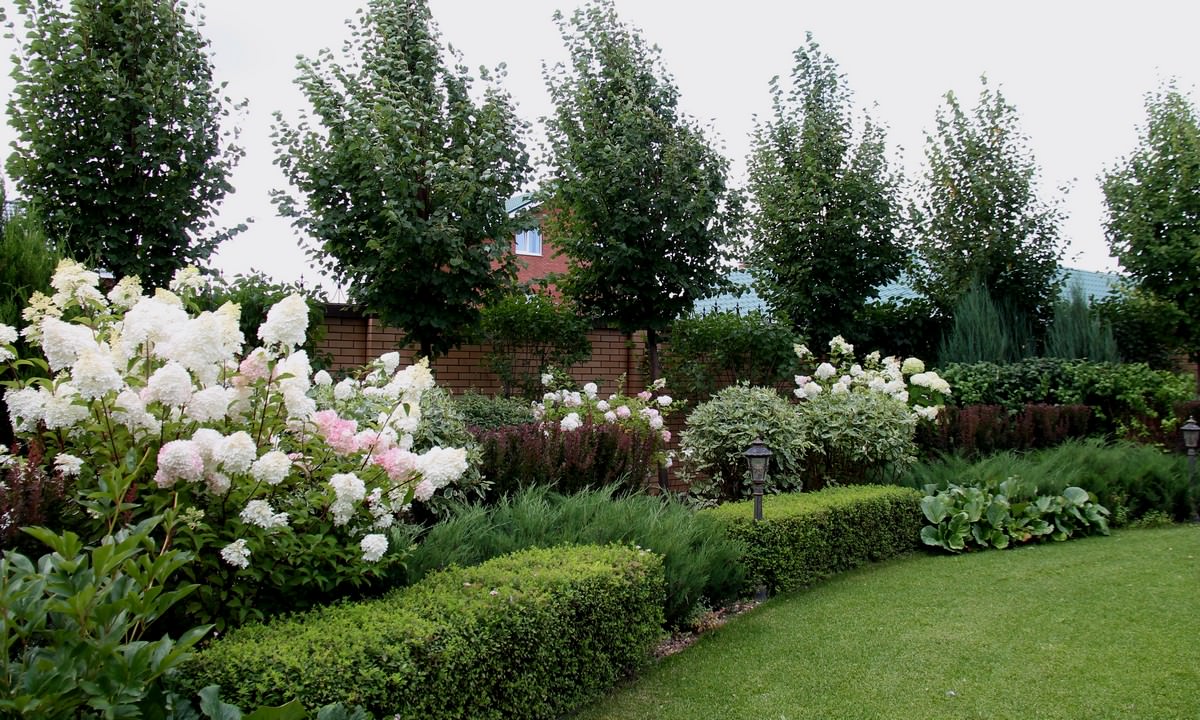 Сад Семьи К.