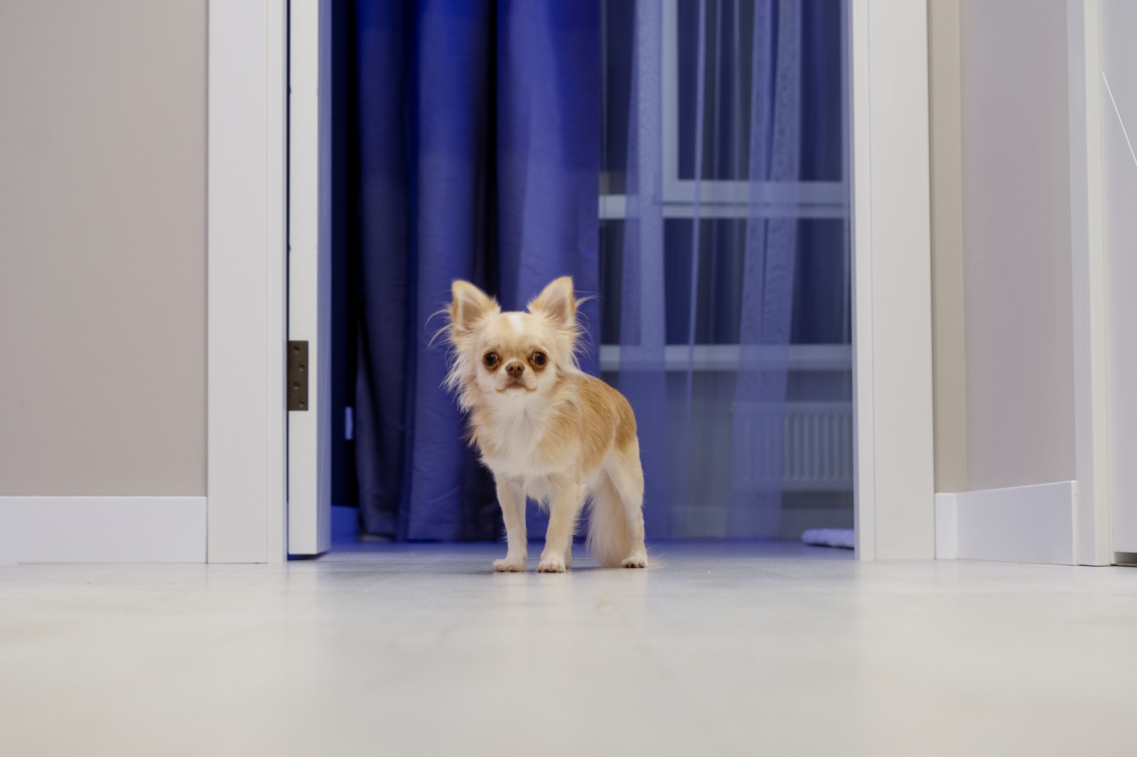 Жк Илмари 94м2