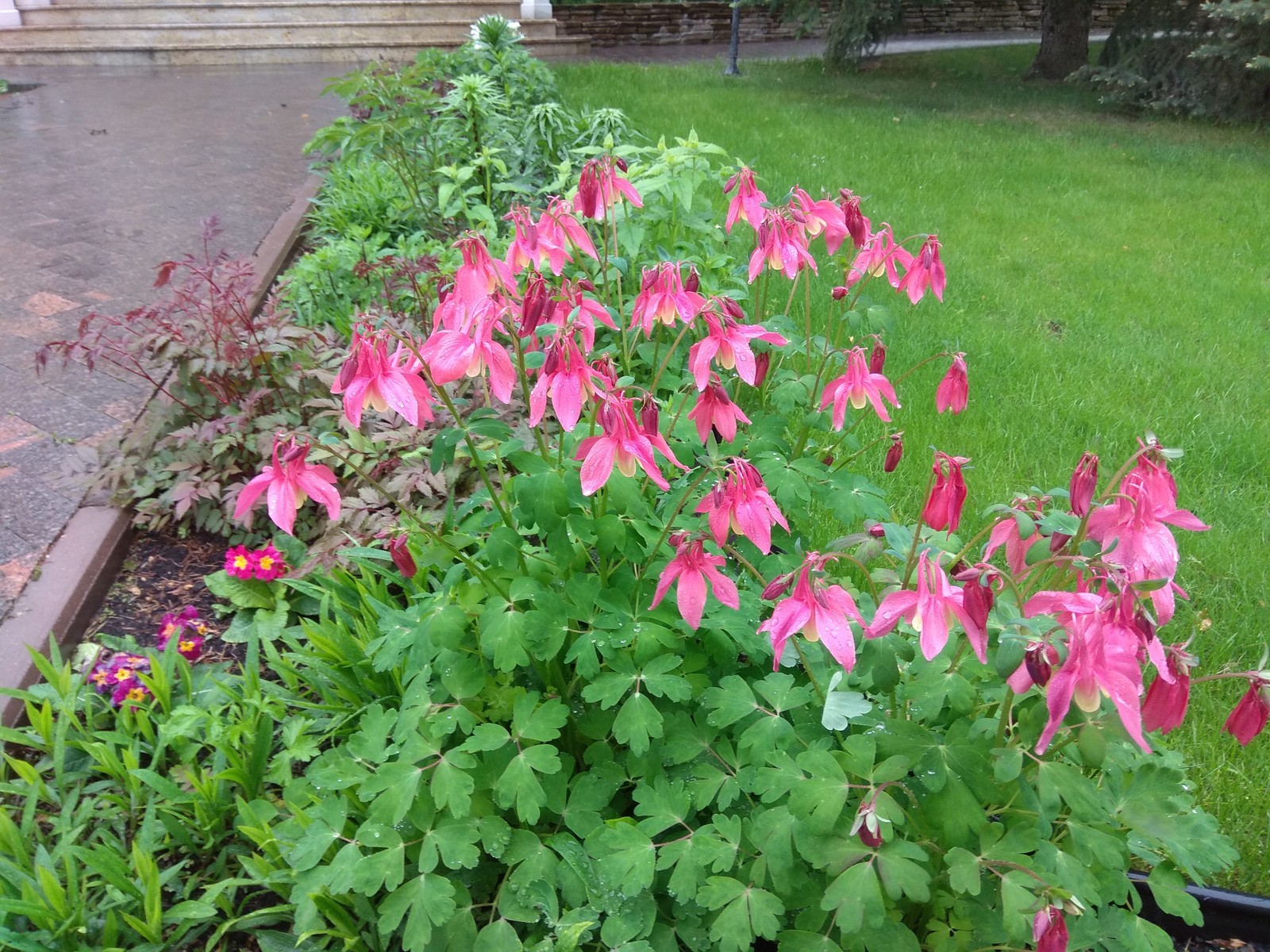 КП Новая Рига