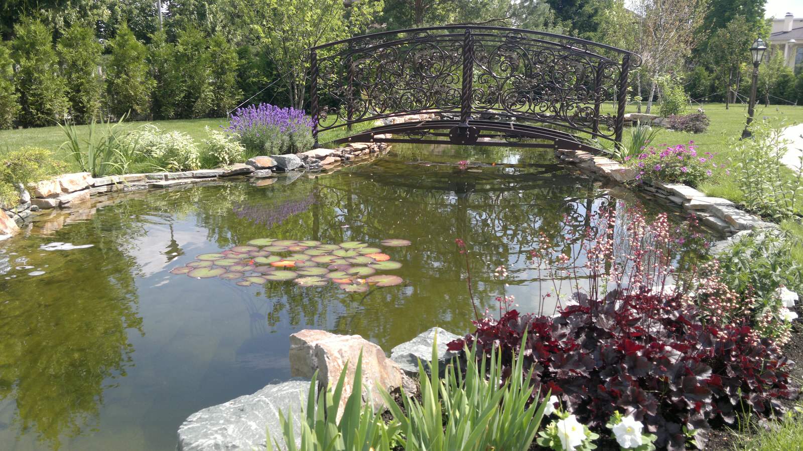 Обложка проекта: Декоративный водоем