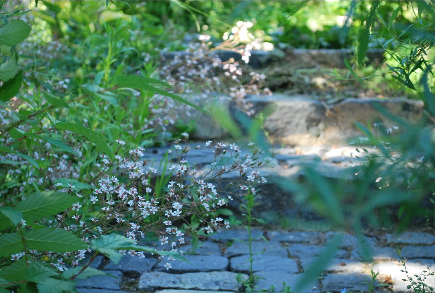 Сад натуралистического стиля