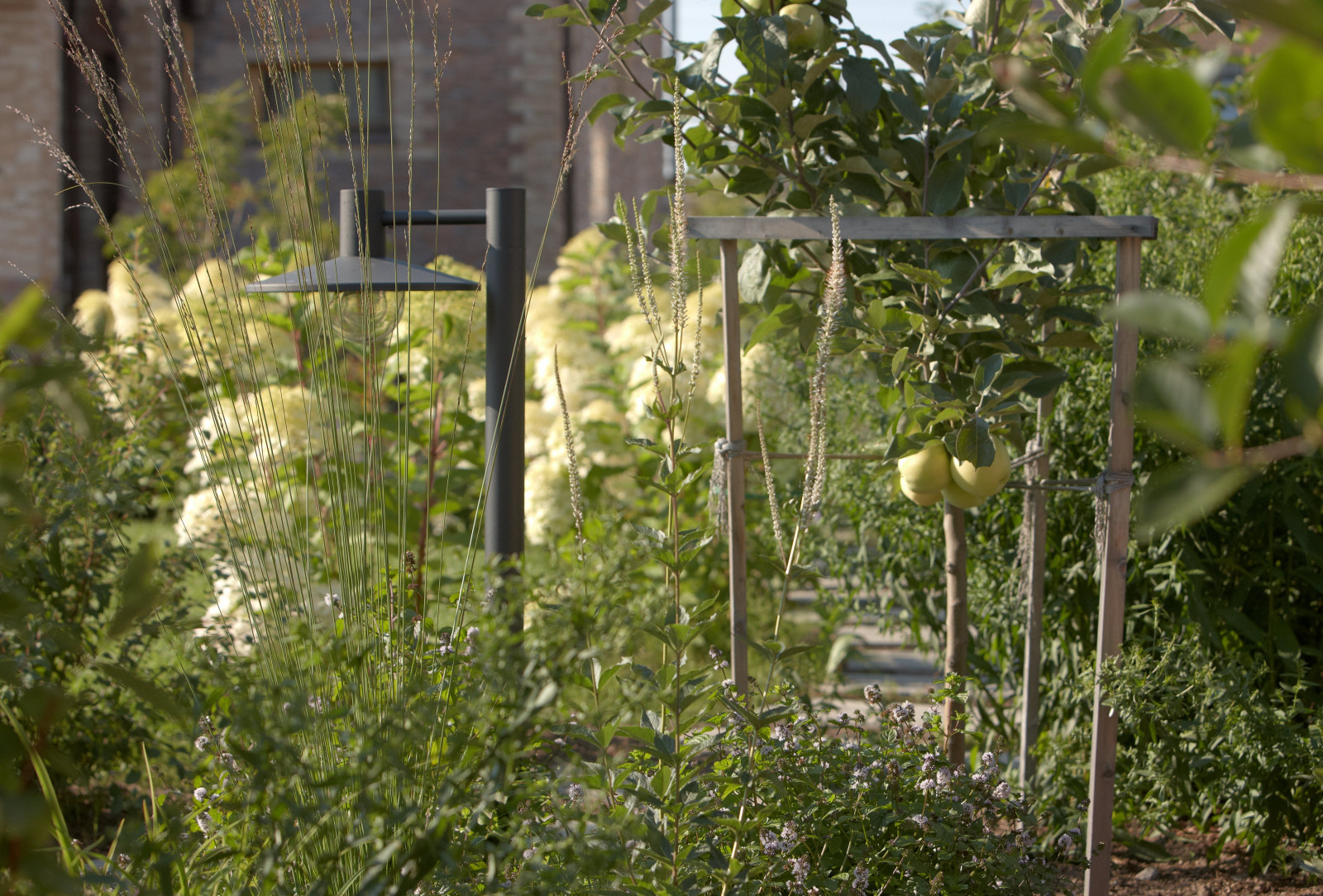 Отражение в каплях росы