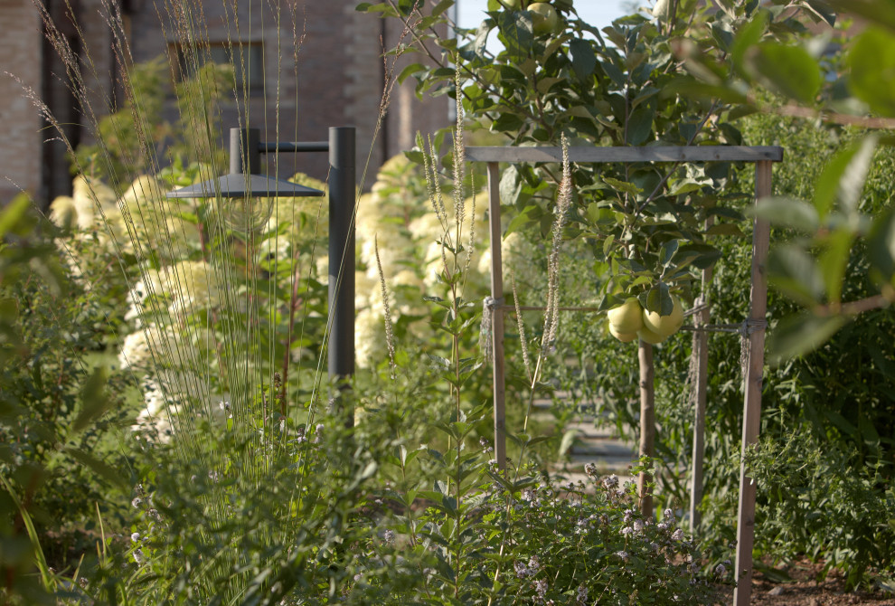 Отражение в каплях росы