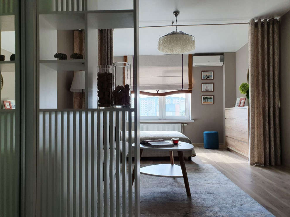 Переделка существующей гостиной-спальни-прихожей 23,26 м/кв