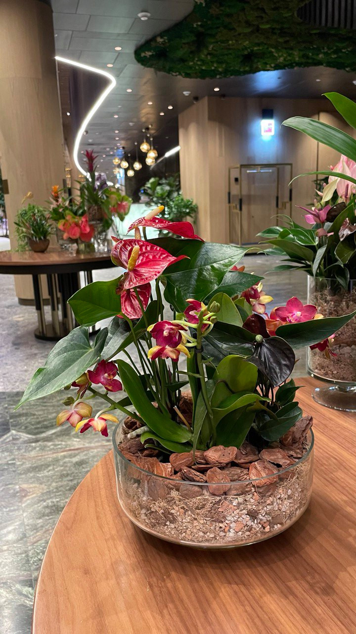 Всесезонный отель "Манжерок"