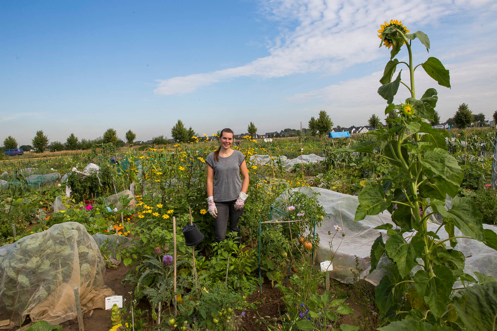 Мир дизайна: 10 огородников-любителей показывают урожай со своих грядок